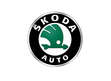 Ремонт Skoda
